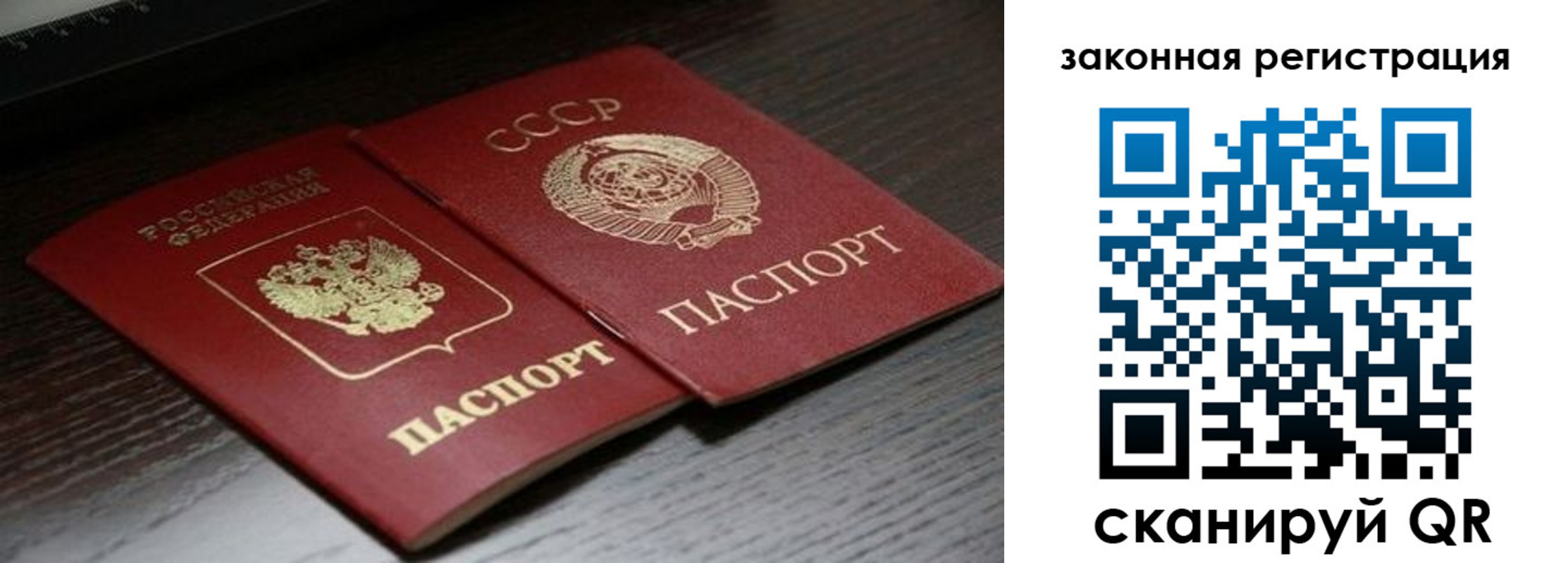 прописка поиск в Шилке